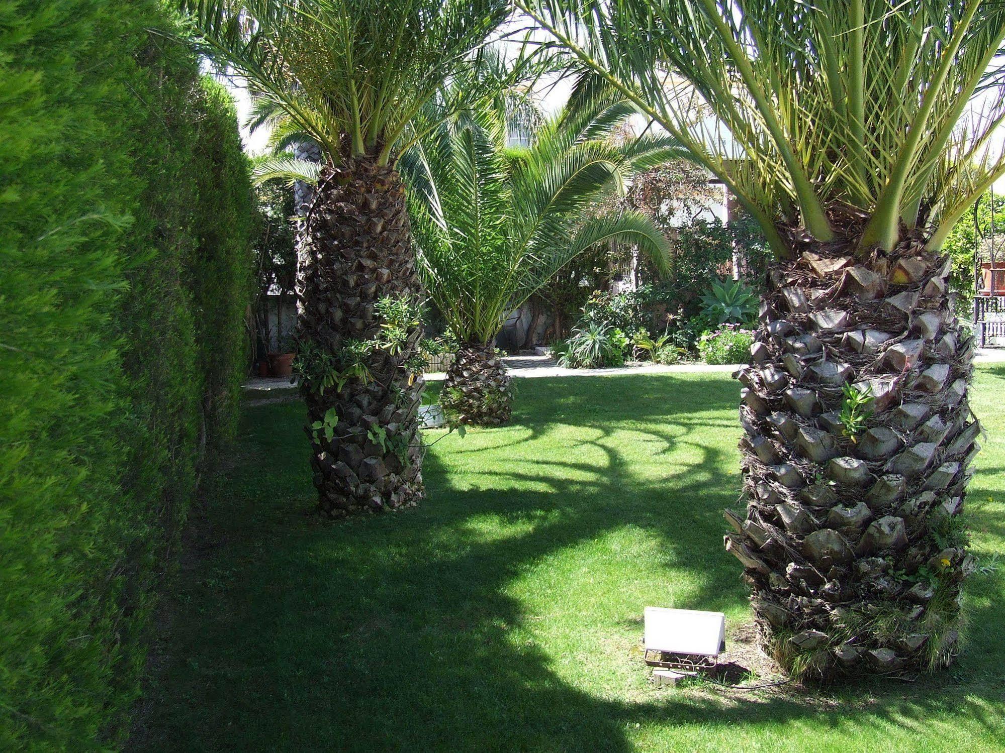 Hotel Solar De Mós